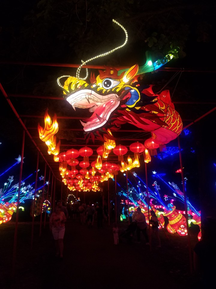 Tigers, pandas and lanterns oh…The Dragon&nbsp;Lights!
